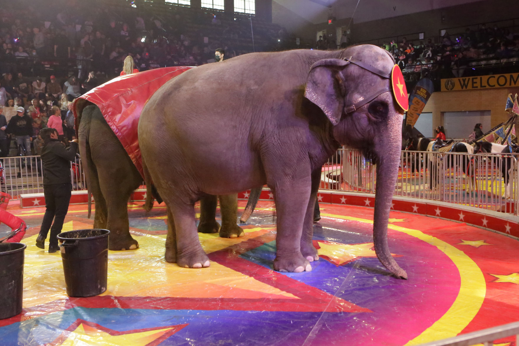 112821-nws-circus 1.jpg